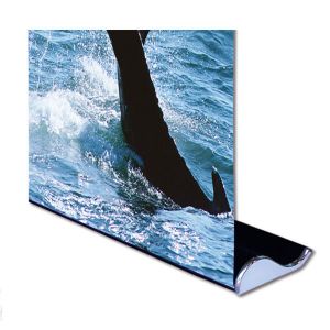 US Stock- 2pcs 33" W x 79" H Whale Shape Good Quality Roll Up Banner Stand (Stand Only)
