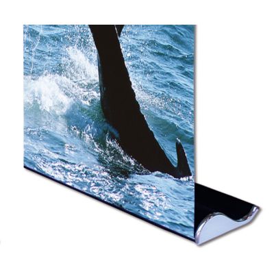 33" W x 79" H Whale Shape Good Quality Roll Up Banner Stand (Stand Only)