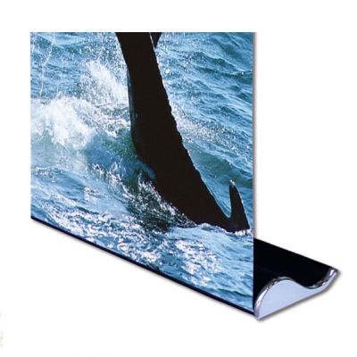US Stock- 2pcs 33" W x 79" H Whale Shape Good Quality Roll Up Banner Stand (Stand Only)
