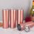 US Stock -  10pcs 20oz Skinny Tumbler Stainless Steel Insulated Water Bottle Double Wall Vacuum Travel Cup With Sealed Lid and Straw (Rose Gold)